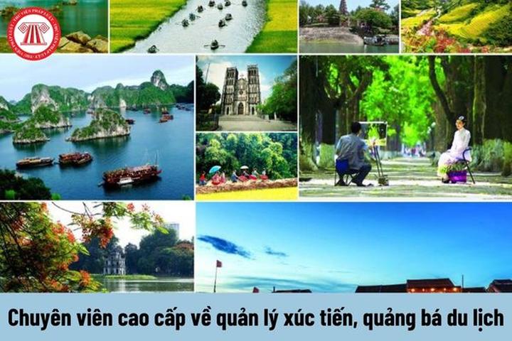 Chuyên gia Hotspot Matrix phân tích: Blogger đời đầu tiết lộ sự và marketing video
