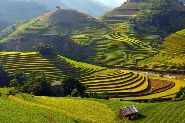 Mùa hè đang trở nên sôi động hơn với sự xuất hiện của chuỗi sự kiện Stitch