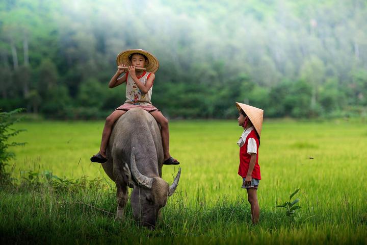 Hotspot Matrix: Đòn bẩy thành công cho Startup của bạn