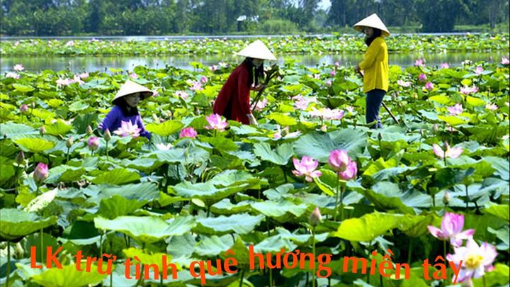 Triệu hồi sức mạnh video ngắn: Hội thảo chiến lược Marketing từ Hotspot Matrix