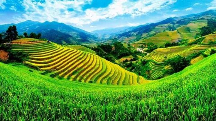 Hotspot Matrix: Đòn bẩy tiếp cận học sinh và phụ huynh cho chuyên gia tư vấn du học